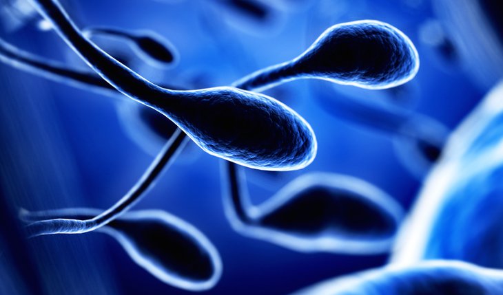 C:\Users\Administrator\Pictures\Sperm DNA Fragmentation.jpg