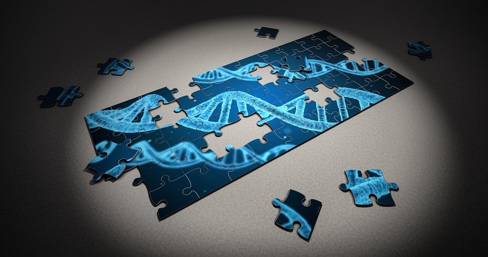 Puzzle, Dna, Research, Genetic, Piece, 3D, Healthcare