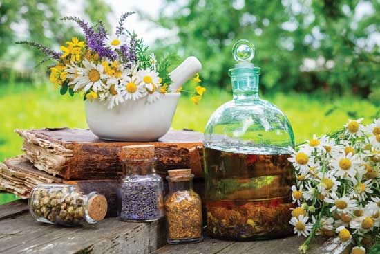 Herbal Tinctures for Health and Well-Being - Mother Earth Living | Healthy  Life, Natural Beauty