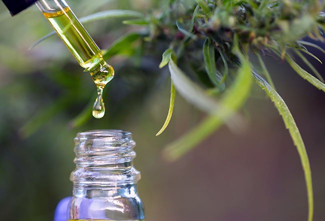 What Are the Benefits of Tinctures?