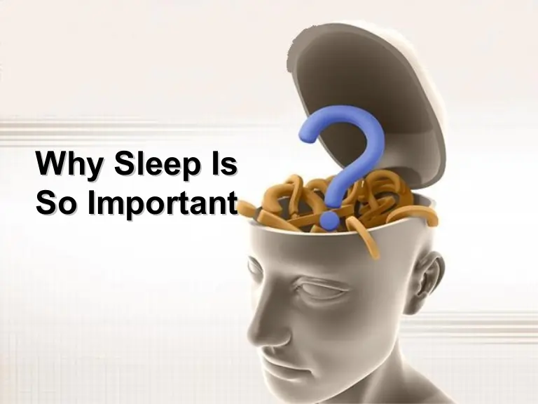 Why Sleep Is So Important To Your Health | My Zeo Illustration about why sleep is important