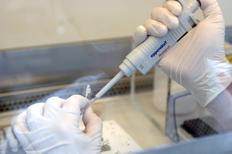 Analytical Testing Services and their Roles in Ensuring Food Safety