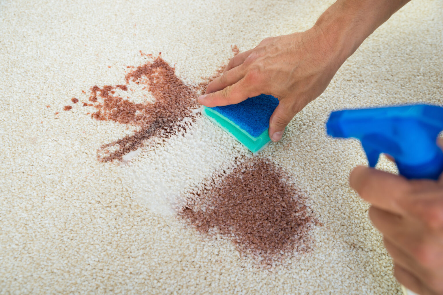 How to Remove Coffee Stains From a Carpet