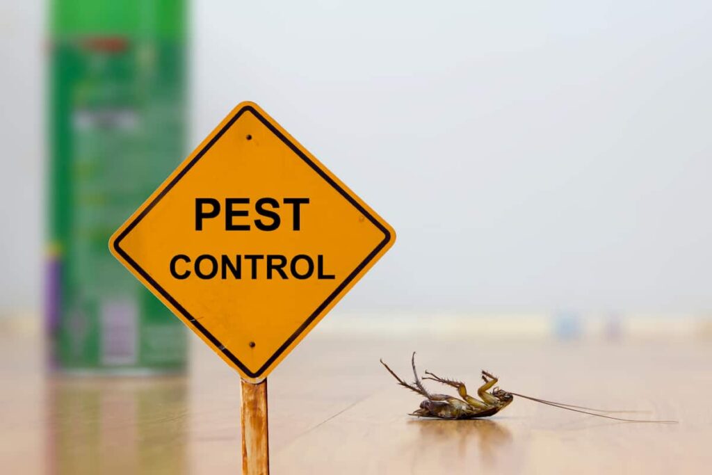 How to Keep Bugs at Bay A Guide to Pest Control in Florida