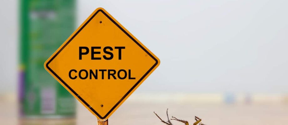 How to Keep Bugs at Bay: A Guide to Pest Control in Florida