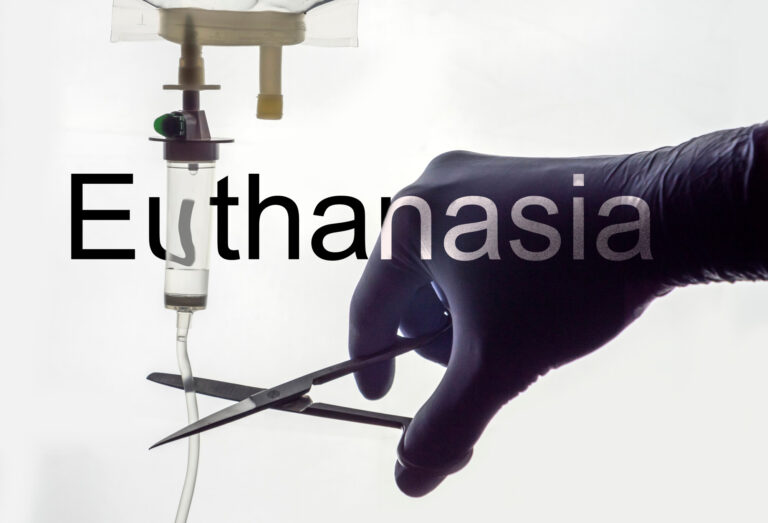 When Is It Time To Consider Euthanasia for Your Pet?