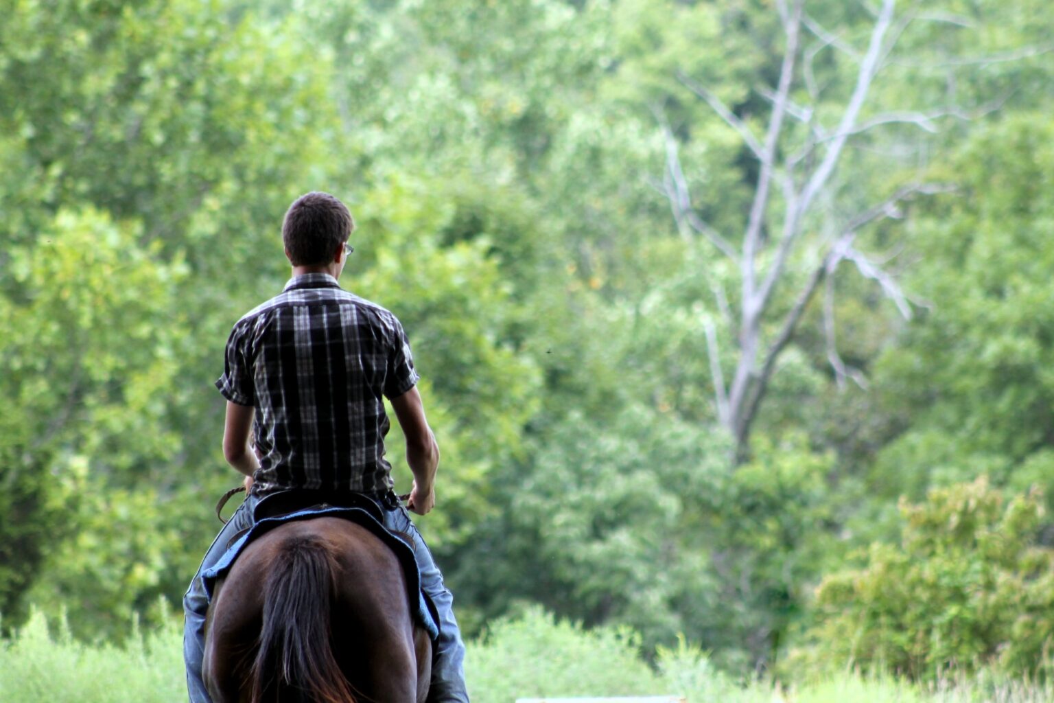 4 Awesome Benefits of Horseback Riding