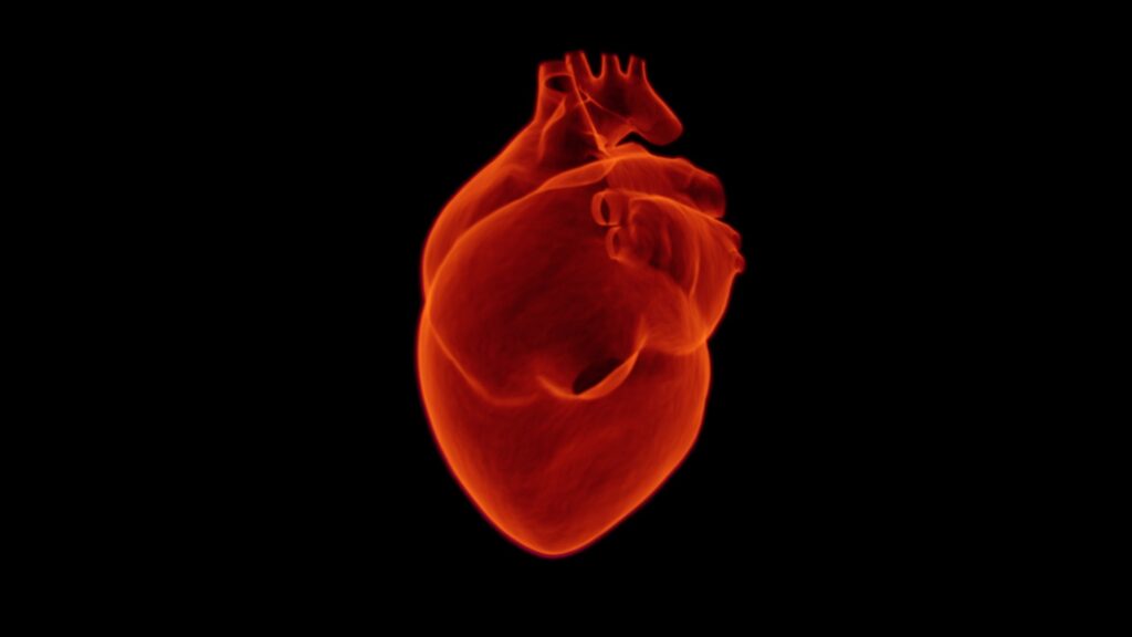 How To Improve Heart Health Quickly The Ultimate Guide how-to-improve-heart-health-quickly-the-ultimate-guide