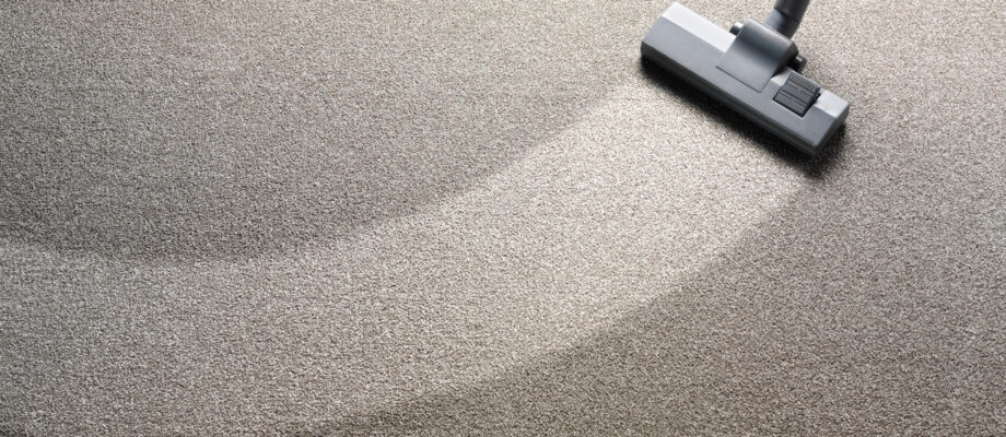 Carpet Care 101: Pro Advice for Extending the Life of Your Carpet