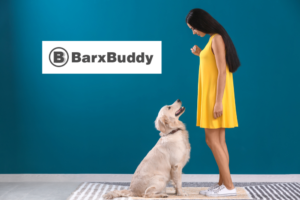 are professional dog trainers worth it 3 ways barxbuddy can help at home | my zeo