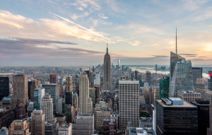 Everything for Immigrants in One Place Tbilistings | My Zeo 