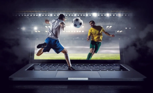 Customization and Branding Options in White Label Platforms | My Zeo 