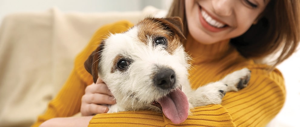 5 Ways Vets Strengthen The Human Animal Bond | My Zeo 