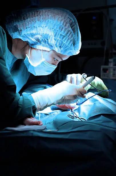 The Importance Of Advanced Surgical Suites In Veterinary Hospitals | My Zeo 