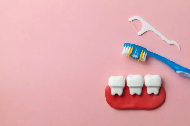4 Tips For Maintaining Oral Health Between Dental Visits | My Zeo 