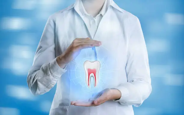 How Holistic Dentistry Focuses On More Than Just Teeth | My Zeo How Holistic Dentistry Focuses On More Than Just Teeth | My Zeo