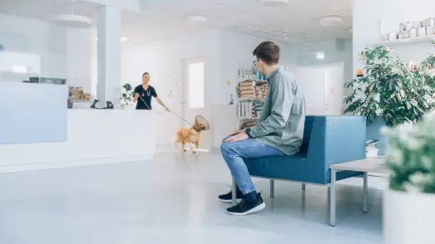How Veterinary Clinics Create Stress Free Environments For Pets | My Zeo How Veterinary Clinics Create Stress Free Environments For Pets | My Zeo