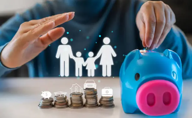 How CPAs Assist Families With Long Term Wealth Strategies | My Zeo