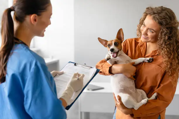4 Benefits Of Having 24/7 Animal Hospital Access | My Zeo 