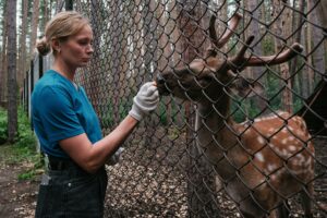 Nicholas Manella: Helping Hands at Mercer County Wildlife Center | My Zeo 