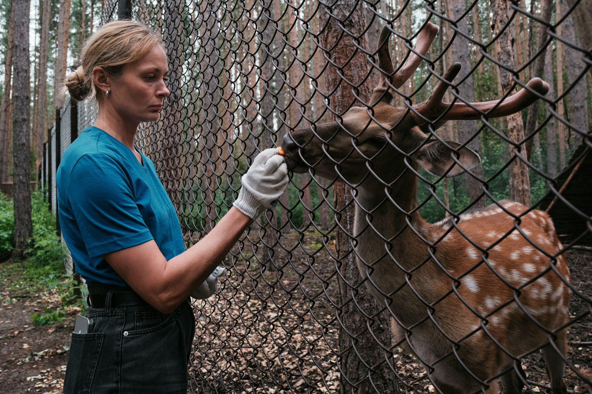 Nicholas Manella: Helping Hands at Mercer County Wildlife Center | My Zeo 