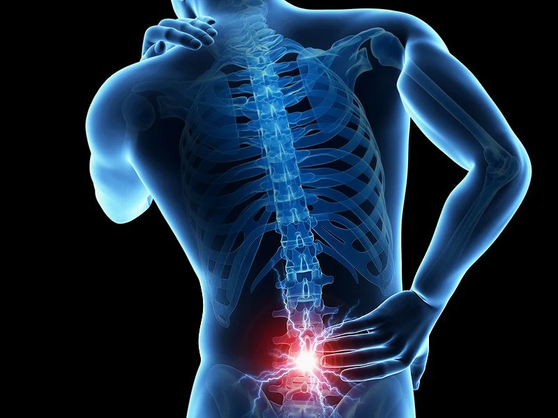 finding relief how chiropractic care addresses the root of back pain | my zeo