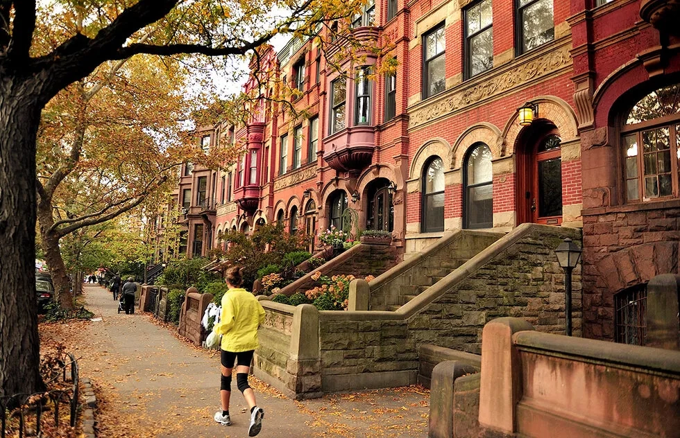 Brooklyn Heights Brownstones Seeing Increased Moisture and Water Intrusion Recovery Needs | My Zeo brooklyn heights brownstones seeing increased moisture and water intrusion recovery needs | my zeo