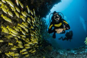dino crnalic scuba diving and decision making under pressure | my zeo
